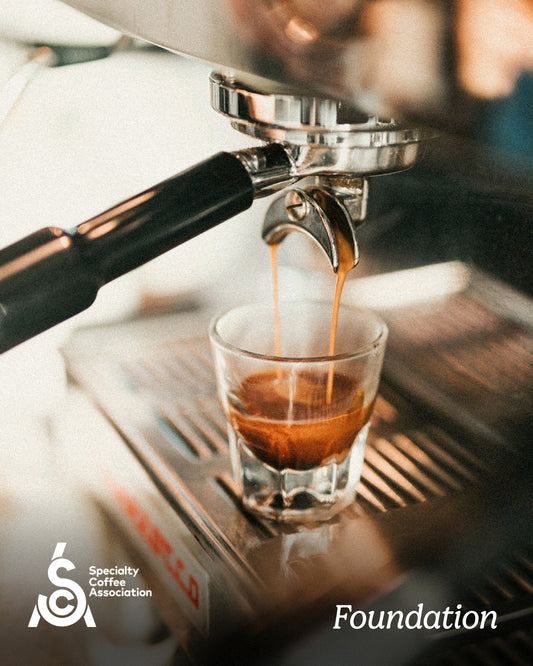SCA Foundation Barista Course